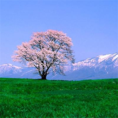 火柴格斗超级英雄最新版(暂未上线)v2.0 安卓版