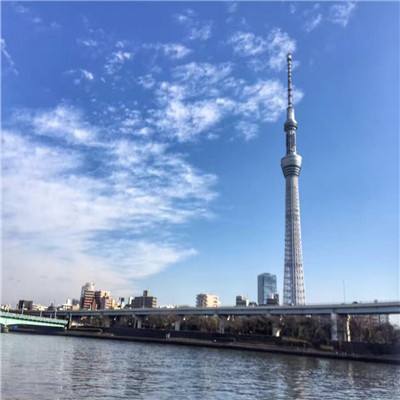 百度非人学园官方下载